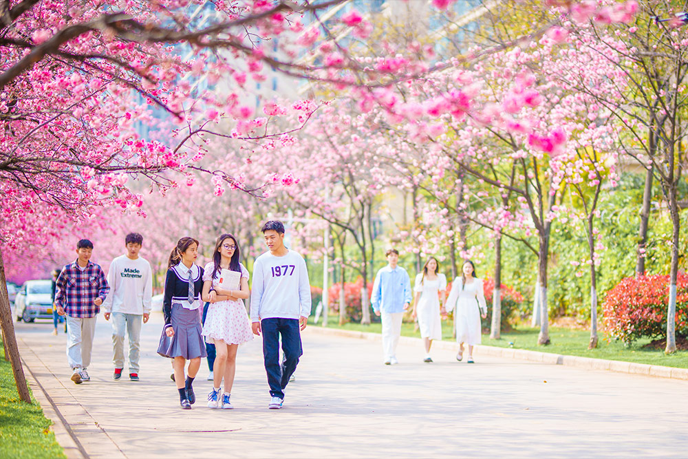 云南医药健康职业学院