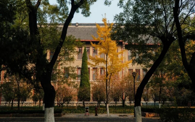 山东大学