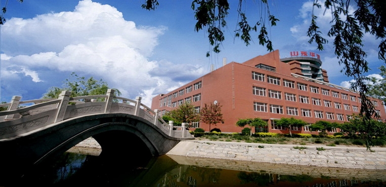 山东华宇工学院