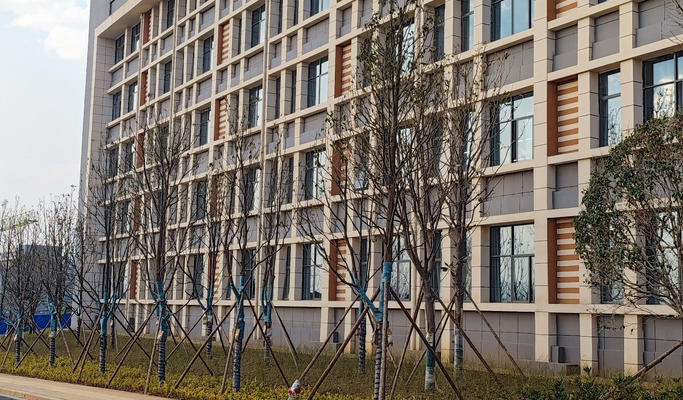 昭通卫生职业学院