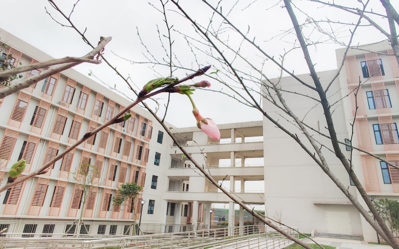 宜春幼儿师范高等专科学校