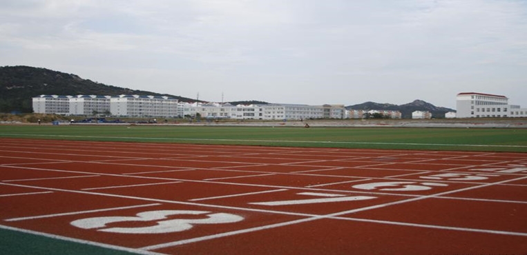 山东外国语职业技术大学