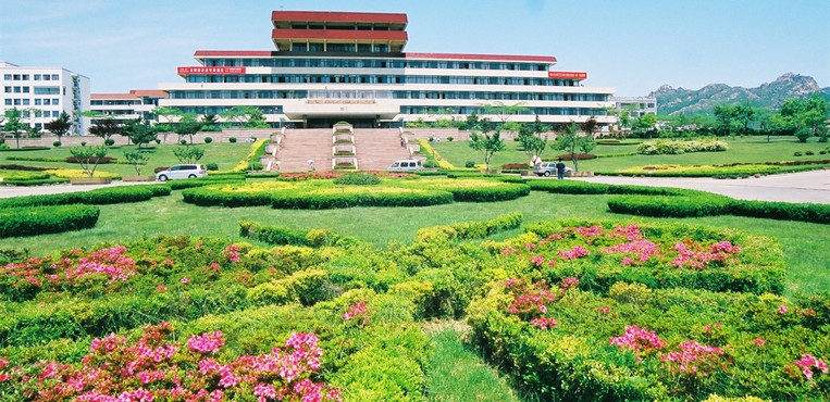 青岛大学