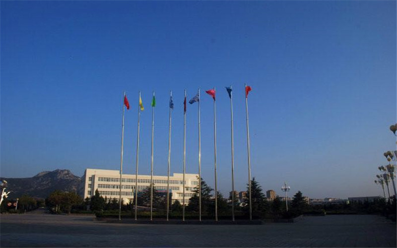 山东外事职业大学