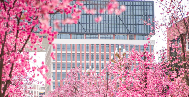 云南理工职业学院