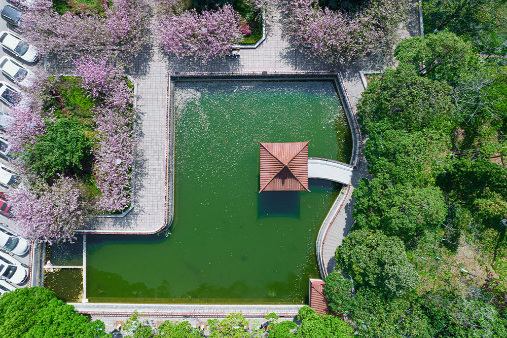云南医药健康职业学院