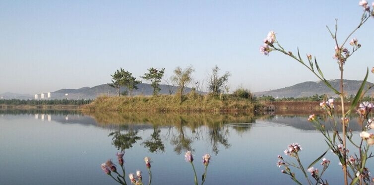 山东药品食品职业学院