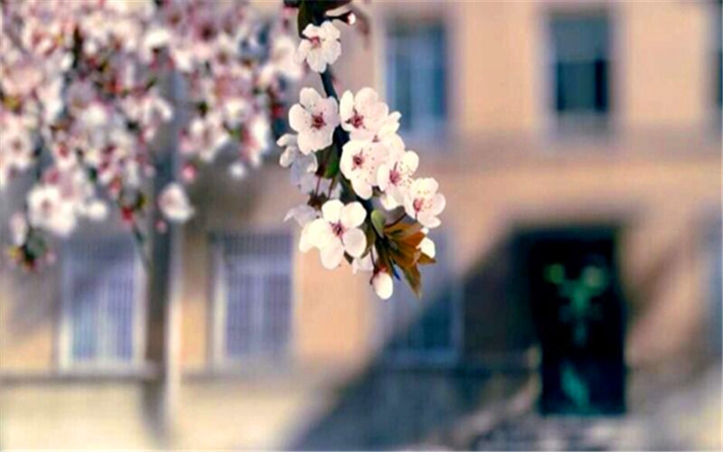 山东轻工职业学院