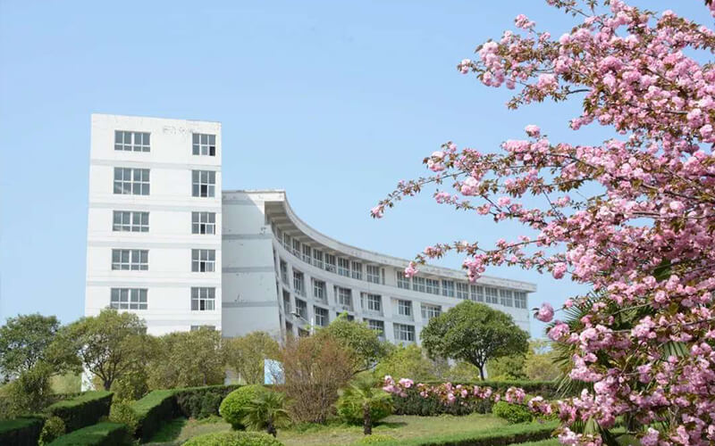 平顶山学院