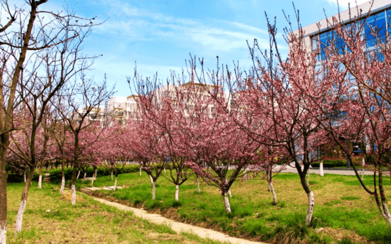 日照航海工程职业学院