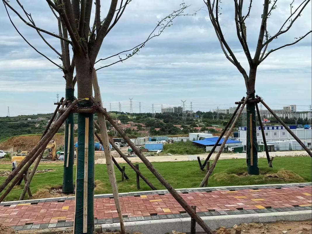 烟台卫生健康职业学院