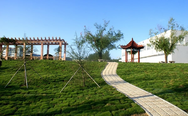 潍坊工商职业学院