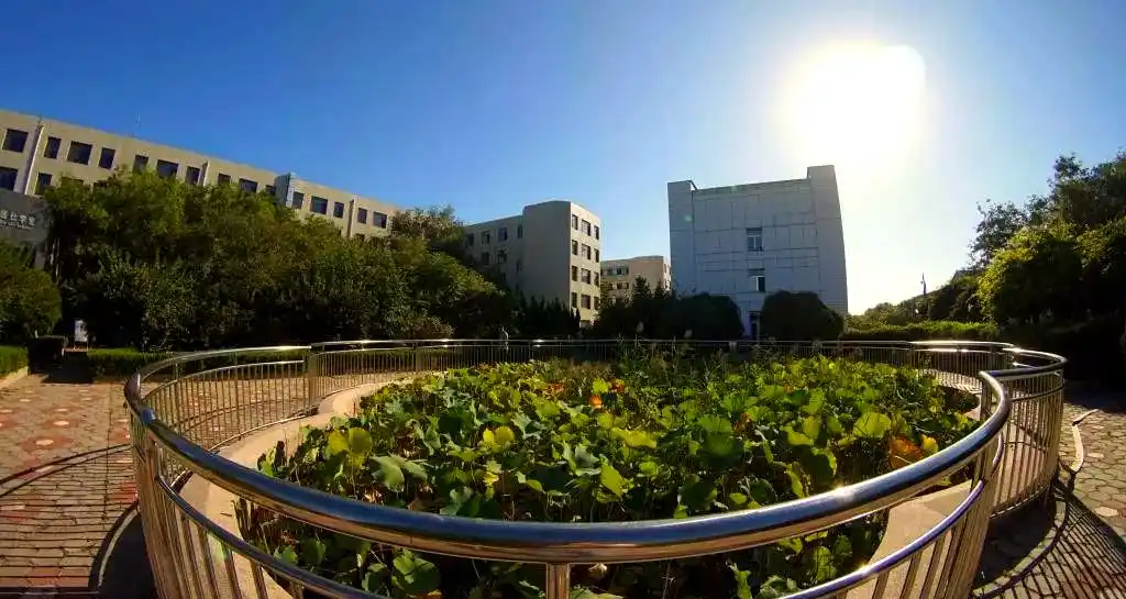 山东胜利职业学院