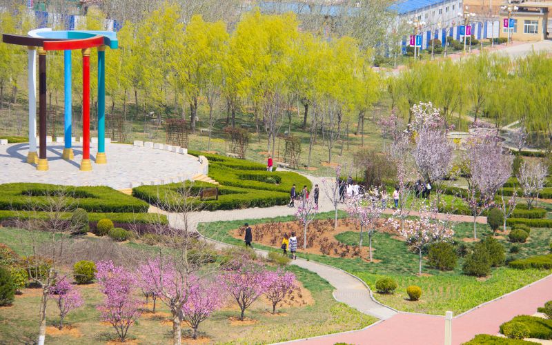 山东城市服务职业学院