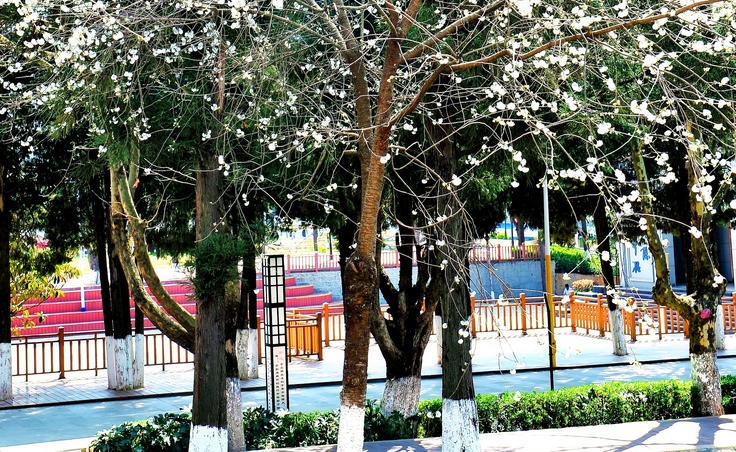 云南农业职业技术学院