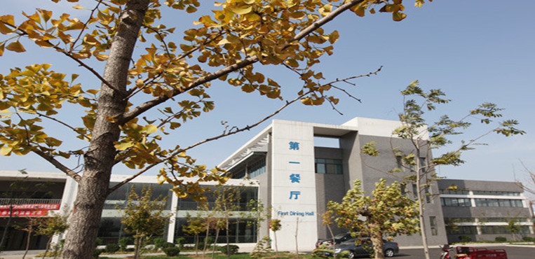 枣庄科技职业学院