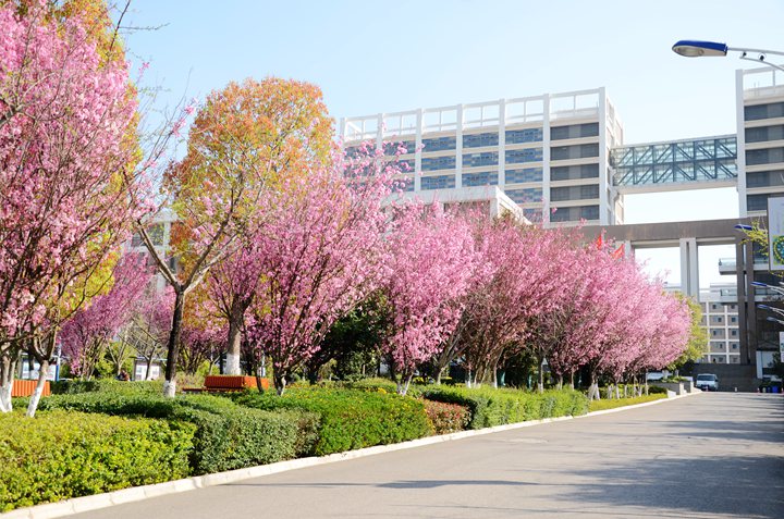 云南工程职业学院