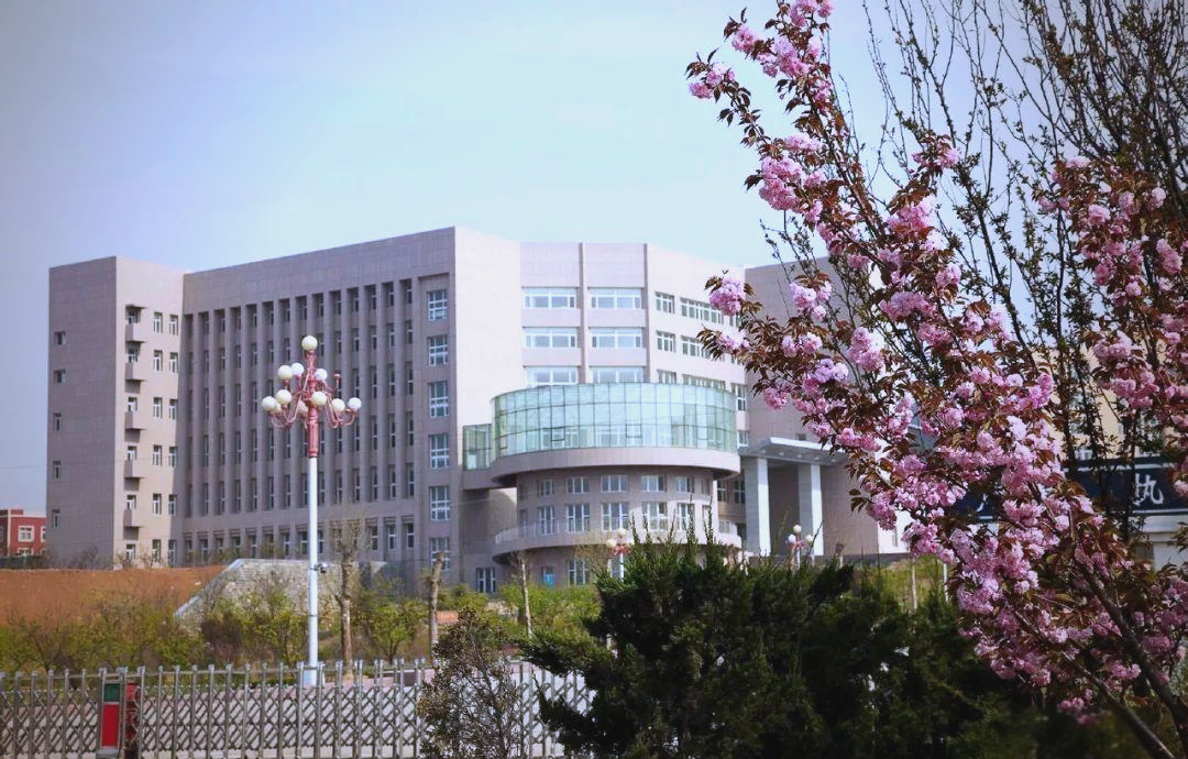 山东杏林科技职业学院