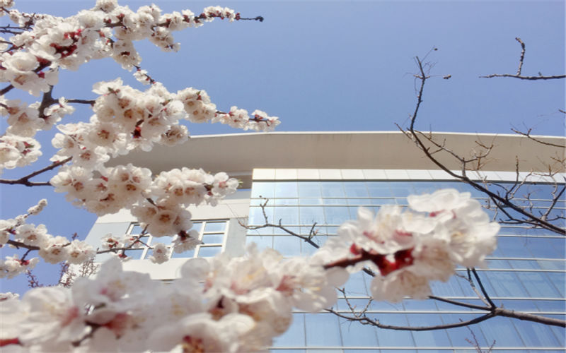 青岛酒店管理职业技术学院
