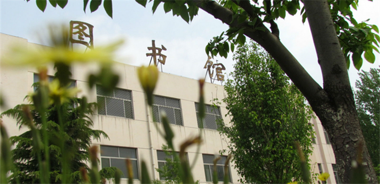 东营科技职业学院