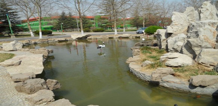 山东化工职业学院