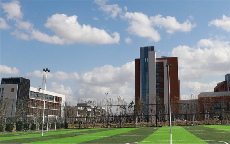 山东化工职业学院