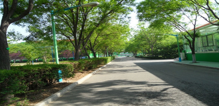 山东化工职业学院