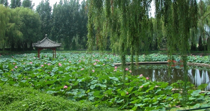 曲阜远东职业技术学院