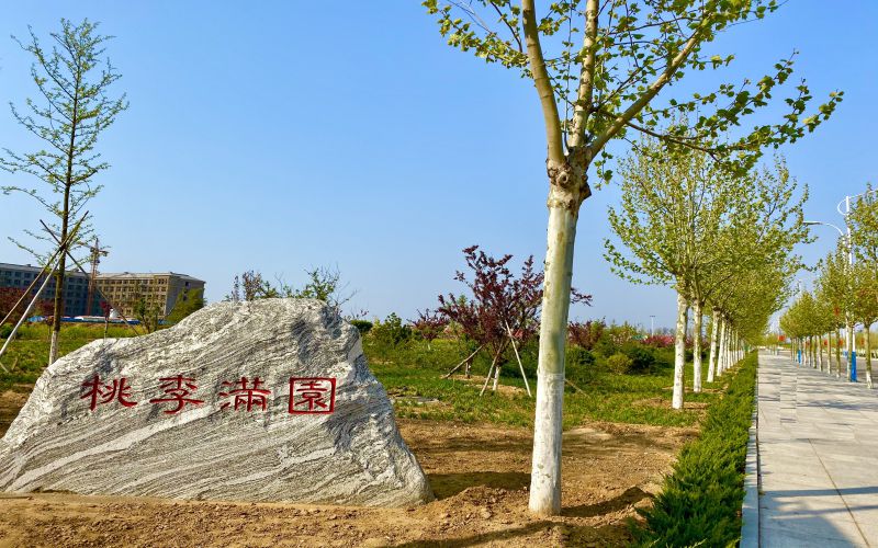 烟台黄金职业学院