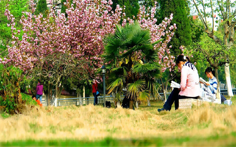 郑州电力职业技术学院