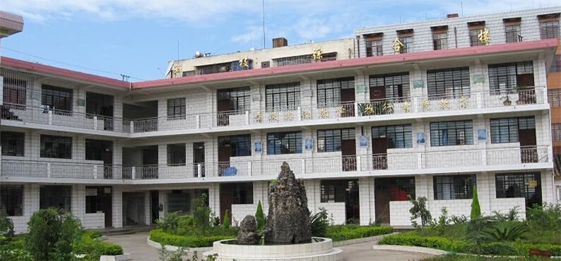 嵩山少林武术职业学院