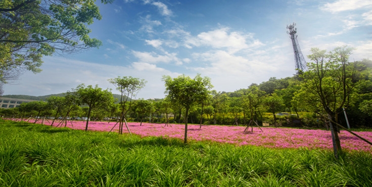 信阳航空职业学院