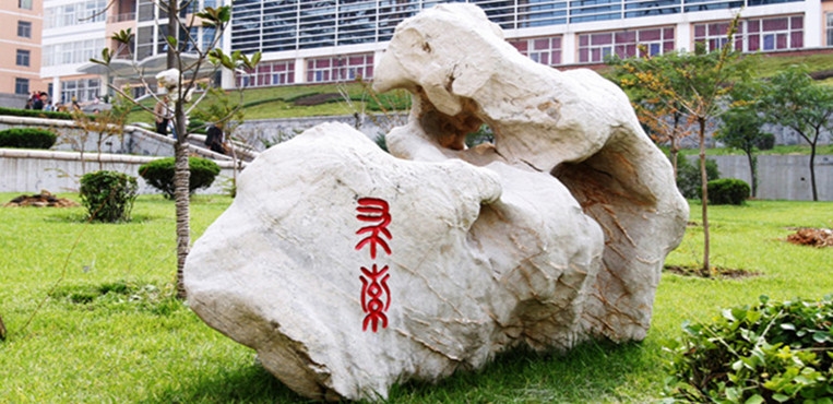 齐鲁医药学院