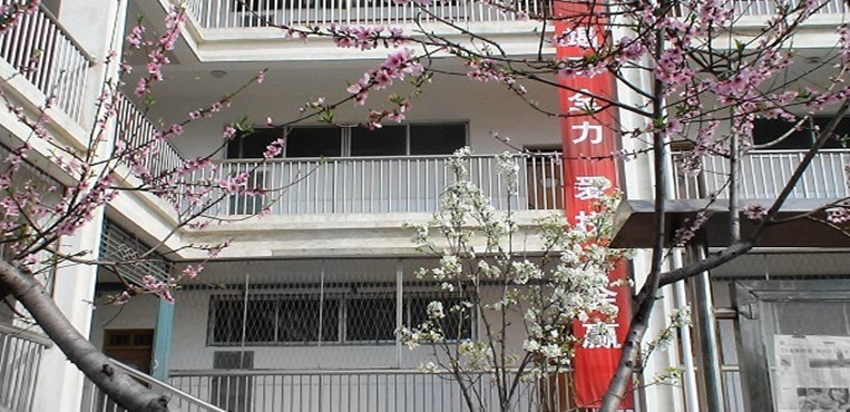 漯河食品工程职业大学