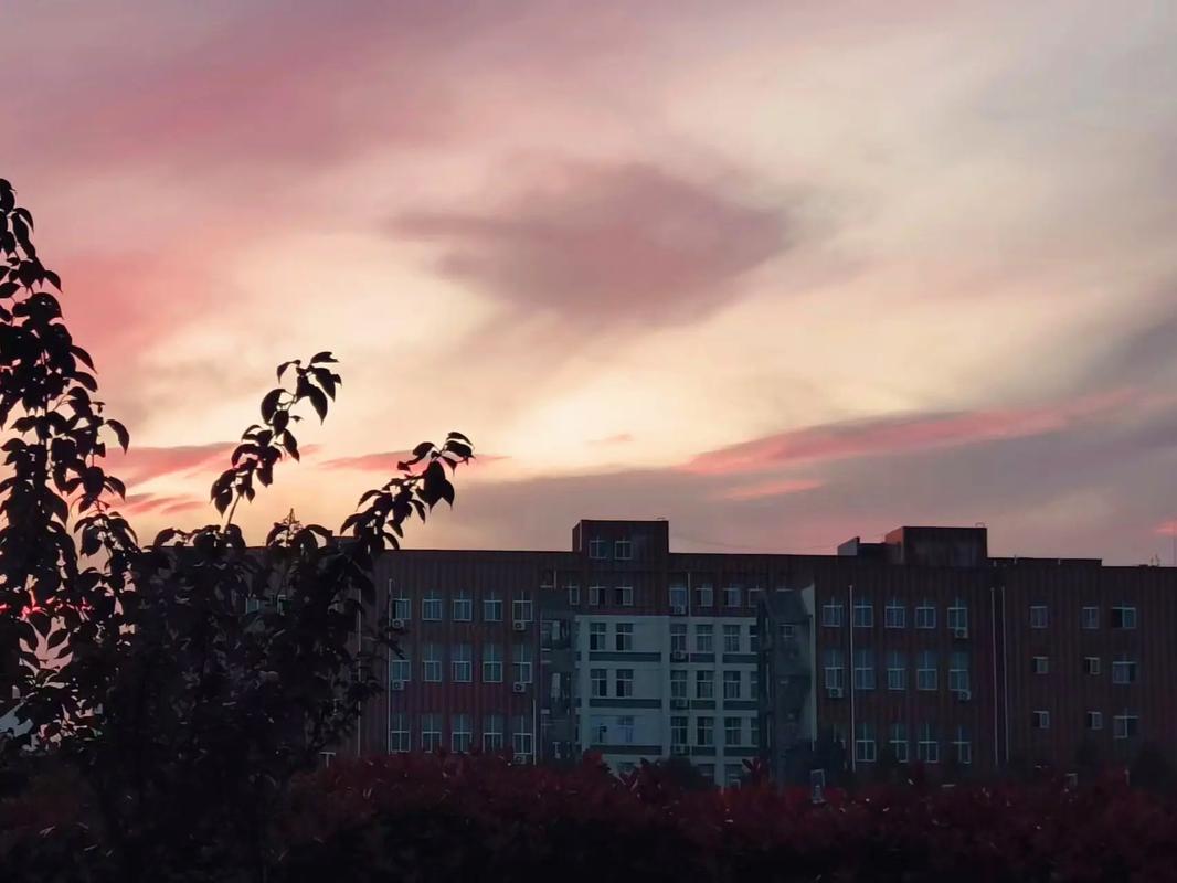 洛阳商业职业学院