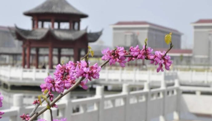 安徽黄梅戏艺术职业学院