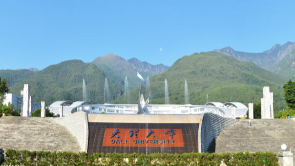大理大学