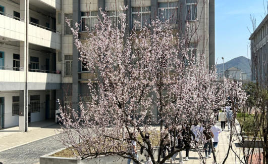 安徽卫生健康职业学院