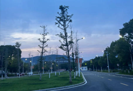 安徽卫生健康职业学院