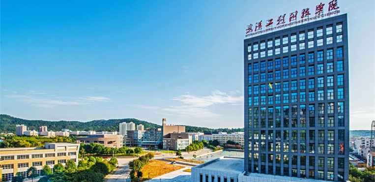 武汉工程科技学院