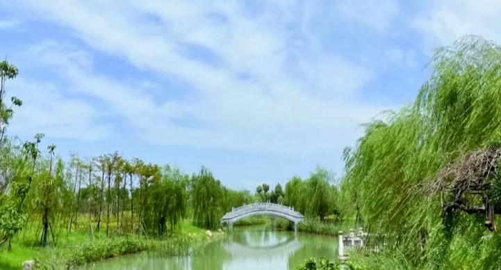 桐城师范高等专科学校