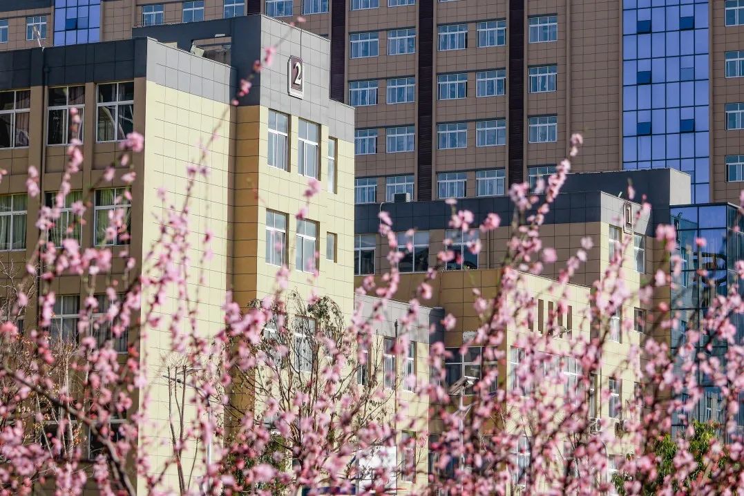 周口城市职业学院