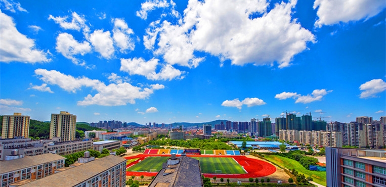 武汉工程科技学院