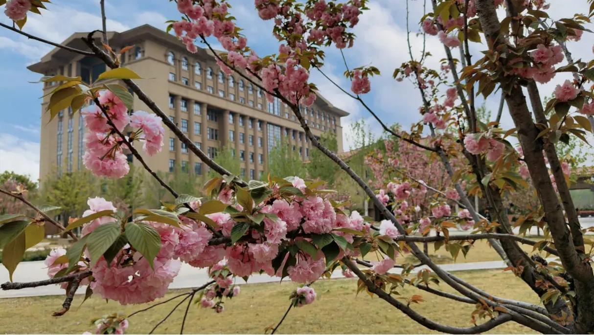 郑州智能科技职业学院