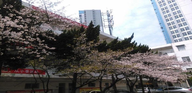 湖北艺术职业学院