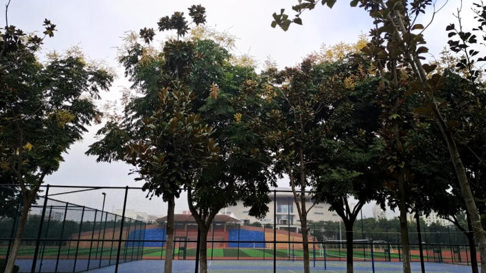 合肥幼儿师范高等专科学校