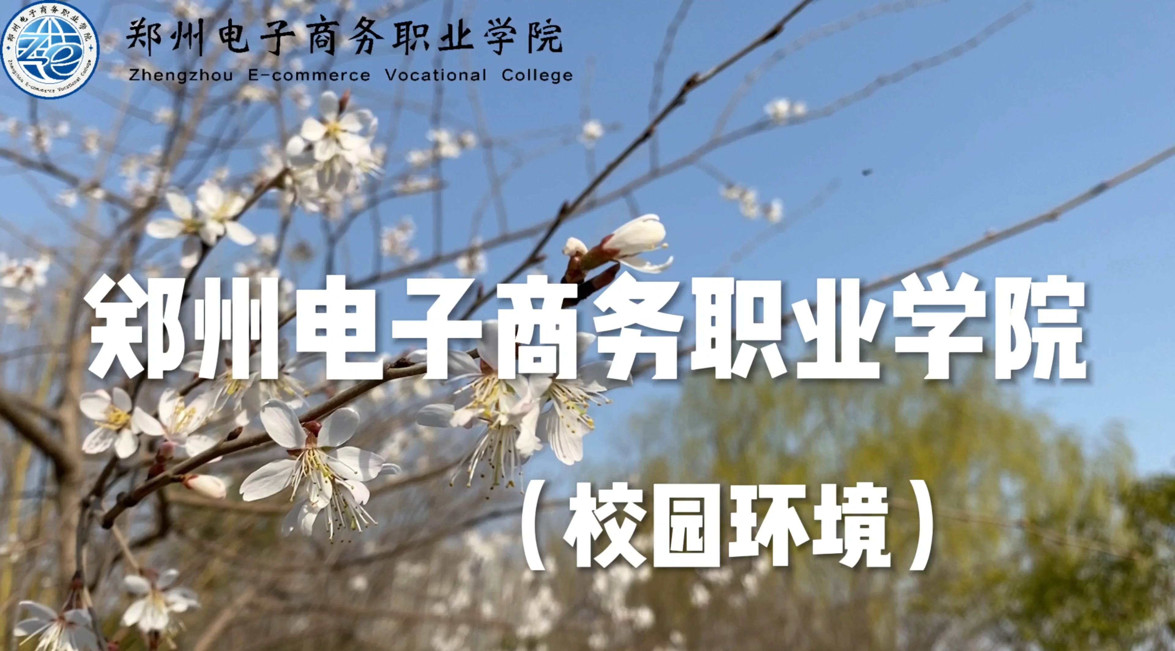 郑州电子商务职业学院