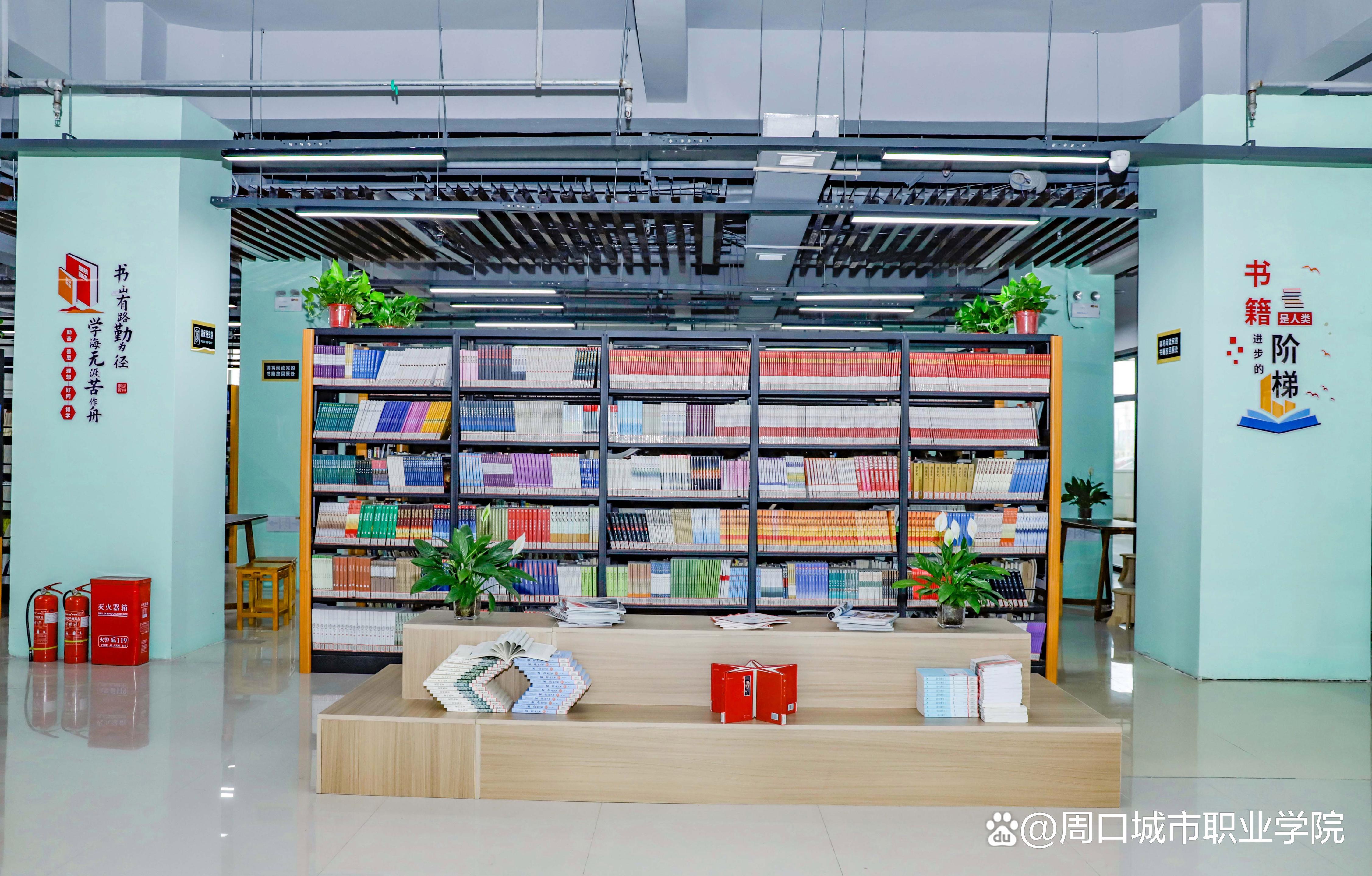 周口城市职业学院