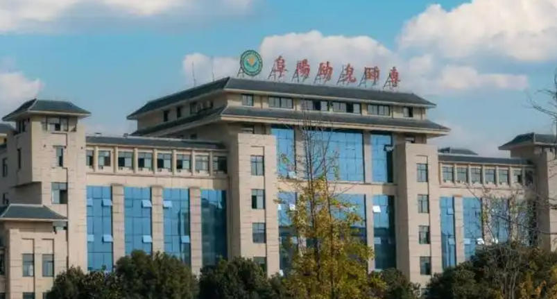 阜阳幼儿师范高等专科学校