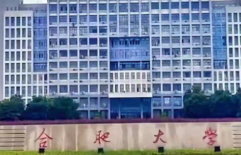合肥大学